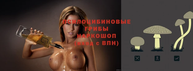 хмурый Протвино