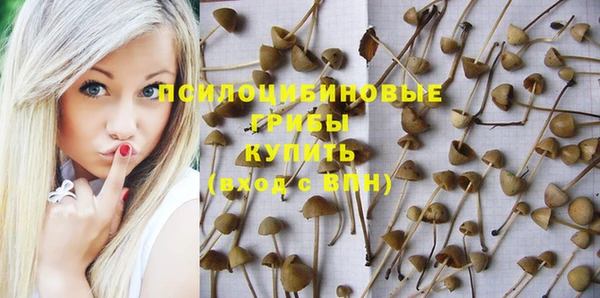синтетический гашиш Алексеевка